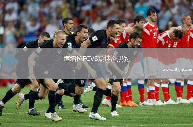 堪培拉FCVS莫納洛黑豹